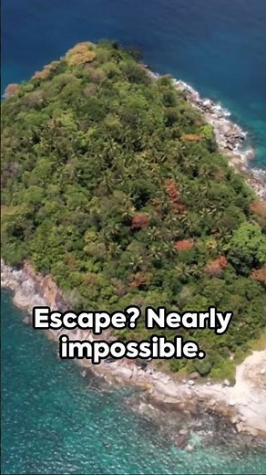 Devil's Island: A Glimpse into the Infamous Penal Colony #history #france