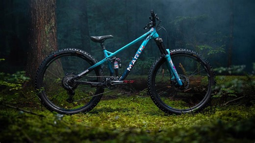 The Shark Bike: A Paint Job Like No Other