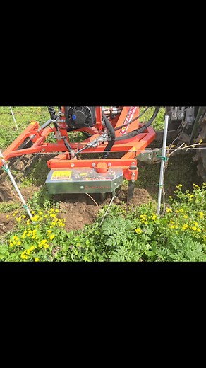 🗣🗣🗣 Avem pe stoc cultivator cu palpator model Dual 5 P - Ciancaglini Macchine Agricole .🍇🍇🍇🚜🚜🚜 Caracteristici tehnice: ✅️ Prindere in 3 puncte ✅️ Rulou posterior ✅️ Lame cu palpator interfilar stanga/dreapta ✅️ Comanda de urgență electro-hidraulica acționată manual ✅️ Schimbator de caldura ✅️ Centrala hidraulica independenta, cu 2 pompe, 2 filtre, rezervor de ulei ✅️ Numar de ancore: 5 ✅️ Latimea intre randuri: 180/220 cm ✅️ Greutate: 570 kg ✅️ Putere necesara tractorului: 40 - 70 CP ❗️