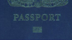 44K views · 148 reactions | The announcement of the return of the old blue passport after Brexit has been met with a lukewarm response. | Telegraph News | Facebook