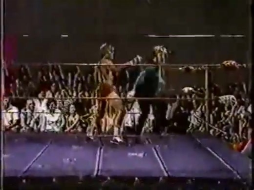 On this day in 1981 Paul Orndorff's destruction of Joe Turner was foiled by the dastardly Saito. classicvintageprowrestling Ron Fuller "The Tennessee Stud" | Paul Orndorff: Legacy