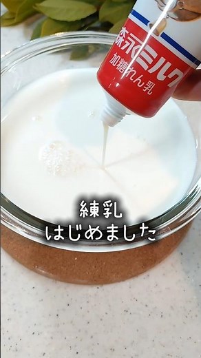 【混ぜて冷やす】 練乳牛乳プリン #簡単レシピ #まいにちごはん #おやつ #料理 ＃練乳 ＃プリン ＃牛乳