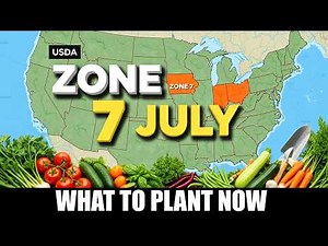 Don’t Stop Gardening in July! Best Plants for Zone 7 Right Now!
