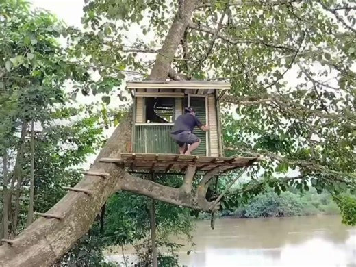 Tree Shelter Building: Overnight Camping Tips