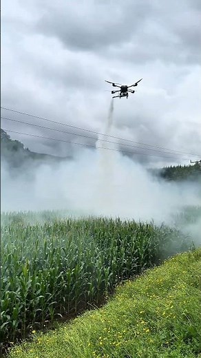 Precision Farming in Action: Drone Crop Spraying Explained