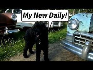 "Will it Run?" Special: 1949 Frazer Daily Driver Project! Week 1