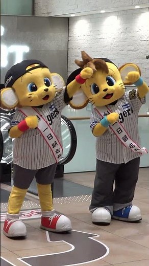 阪神梅田本店で「祝 阪神タイガース リーグ優勝記念セール」セレモニー #阪神優勝 #阪神タイガース #トラッキー