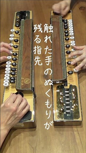 恋の終止符/大月みやこ(大正琴:切ない旋律を生音で) ♯生音#大正琴#大月みやこ