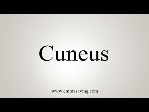 How To Say Cuneus