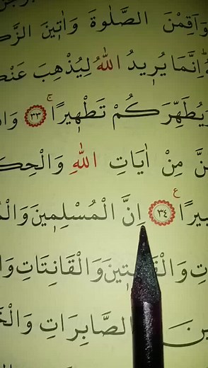 Muhammed nur (@muhammed_nur.2) adlı kullanıcının original sound - Hanad ile oluşturduğu videoları