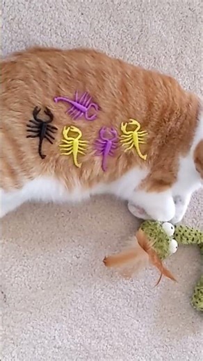 Brave Monty fought off a hoard of stingy scorpions and a big stupid snake working with the hoard.