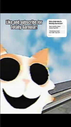 144p Chaos on the Roof — TOTALLY GARNULAR! — garn 47 #shorts#sub#garn47#car#fyp #bonelab#bonelabmods