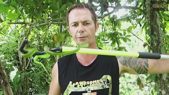 Garden full of pit vipers in Bali