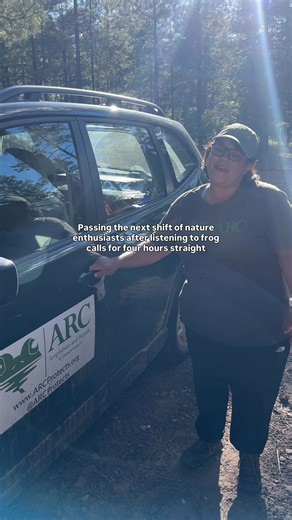 Sorry, we’re working (recording frog calls and playing them back over and over again). It’s not just a weird obsession. It’s a useful one, too! At ARC, we use auditory monitoring to detect the presence or absence of various species within an ecosystem. Frogs are slippery little fellas, and they prefer not to be seen by larger animals, including humans, so this provides a noninvasive way to monitor them. By listening to frog calls and recording what we hear, we can build a baseline of data about 