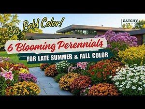 6 BEST Perennials for Late Summer & Fall Color (Big, Bold Color!) 🍂🌼