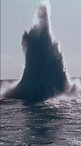 This is Shell: A 1970s Documentary