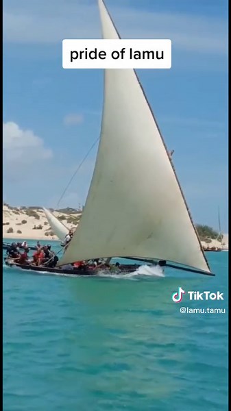 pride of lamu#lamutiktokers #dhowrace #lamuculturalfestival2022 #donkeyride #lamusailing