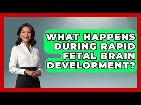 What Happens During Rapid Fetal Brain Development? - Brain Development Hub