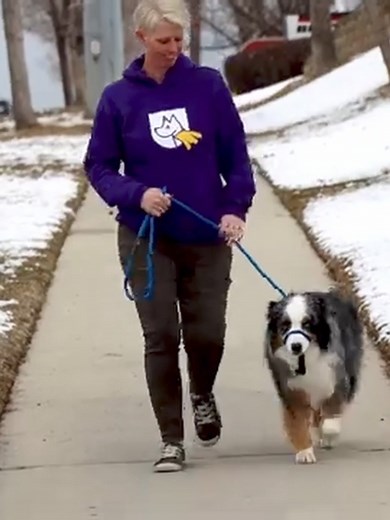 Fed Up With Wrestling Your Dog on Every Walk? Isn't It Time You Switched to the Best Leash for Dogs That Pull? Turn Chaotic Walks Into Peaceful Strolls With Our No-pull Sidekick Leash Take the First Step Towards Enjoyable Walks. Try Our No-pull Solution Today and Experience the Difference | Heather's Heroes