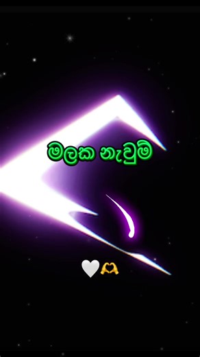 LiVo ViBe (@livo.vibe)’s videos with original sound - T . R . M U S I C