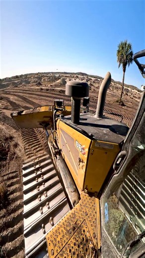 A red-shouldered hawk paid us a visit earlier while running the dozer. | Quality Enterprises USA, Inc.