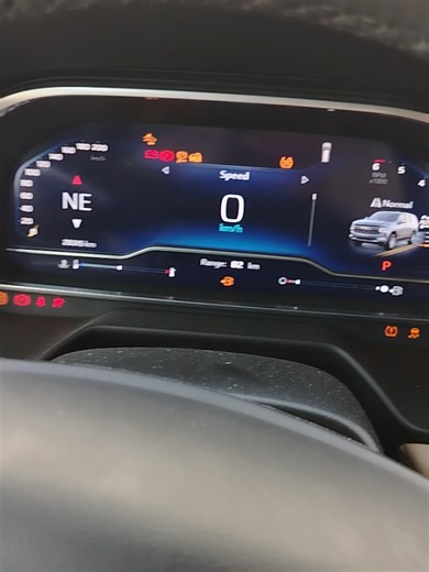 الزعيم على TikTok