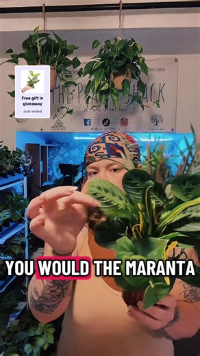 Live tonight around 9PM EST. #planttok