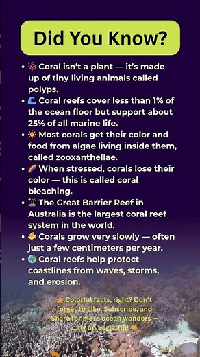 🌊 The Secret Life of Coral Reefs — Nature’s Hidden Cities! 🐠