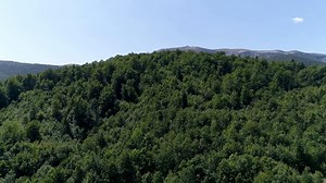 Ginger Lemonade: The Zesty Kick Your Taste Buds Need!