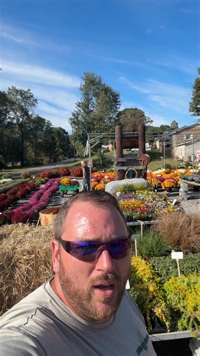 1.8K views · 45 reactions | Get out and shop your local garden center!! 1387 Drexel Rd Valdese NC 28690 | Settlemyre Nursery | Facebook