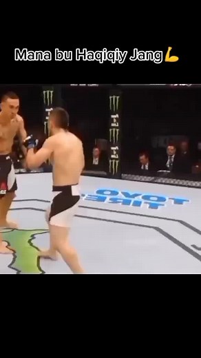 MMA Fight Highlights in the UFC Octagon