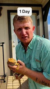 42K views · 1.7K reactions | Becoming the Oklahoma Steve Irwin #oklahoma #steveirwin #crikey #seminole #snake #Reptile #crocidilehunter #animals | Nomad's Animal Encounter | Facebook