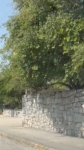 37K views · 1.2K reactions | ❤️Colonia Mainero, Ciudad Victoria Tamaulipas, México . | Vicky Ranch | Facebook