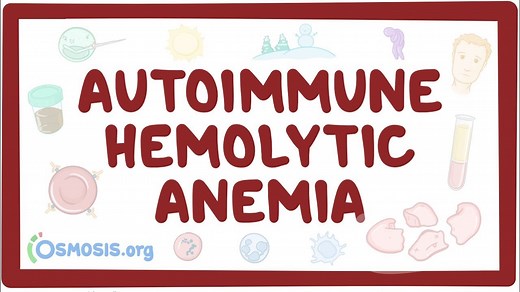 Autoimmune hemolytic anemia: Video, Causes, & Meaning | Osmosis