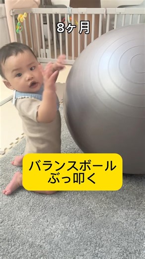 これでバランス感覚鍛えてる。