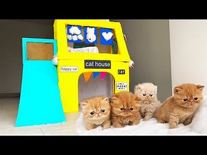 True Story about the Smallest KITTENS! The most Amazing Kitten Cat Pet House from Cardboard