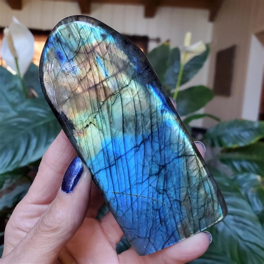 Labradorite Spectrolite Flashy Sunset Freeform 202 Grams - Etsy