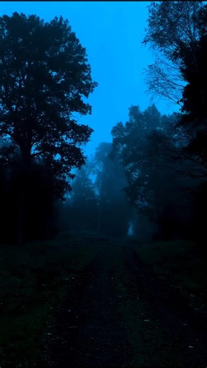 একটি তওবা জীবন বদলে দেয়। #foryou #ramadan2026 #motivation #love