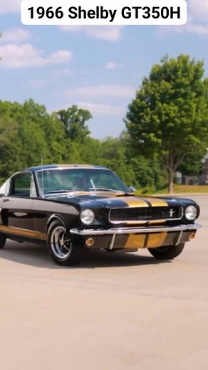 1966 Shelby GT350H | Classic Car Legacy
