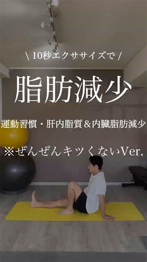 運動習慣も体力もついて脂肪減少してジワジワ痩せる10秒エクササイズ