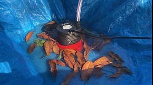 AgiiMan Pool Cover Pump Above Ground - 850 GPH Submersible Water Pump for Pool Draining, Portable Small Sump Pumps with 16' Drainage Hose and 25' Power Cord, 3 Adapters, Green