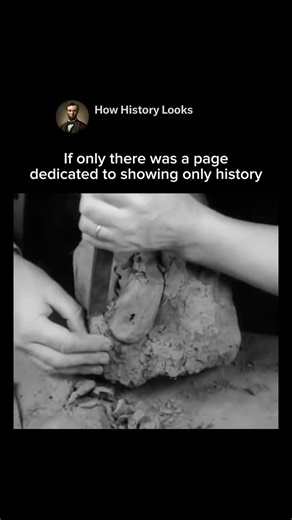 History Facts & Stories on Instagram: "The African lungfish, also known as a mudfish, is capable of breathing on land. This ability allows them to survive for extended periods in their burrows of hardened mud beneath dried-up streambeds during droughts. A 1935 film shows how one such fish is awakened from this state. The lungfish can survive out of water for many months."