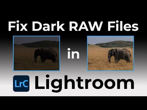 Why Panasonic LUMIX RAW Files Appear Dark & How to Brighten them in Lightroom Classic