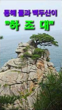 Yangyang Hajodae Pine Trees! & The Sound of Waves by the Sea! The East Sea and Mt. Baekdu are Pin...
