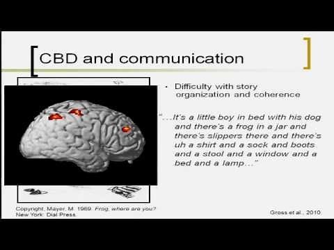 Overview of Corticobasal Degeneration and Progressive Supranuclear Palsy