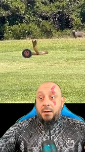 269K views · 7.6K reactions | Naja treinando kung fu?...