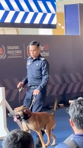 “Demonstration of Obedience Skills” - Singapore Police Force Special Operations Command’s K-9 Unit at Singapore Police Community Roadshow 2025, Heartbeat @ Bedok (6 Dec 2025) #PCR2025 #SingaporePoliceForce | Roots Advanced Endodontics 牙齿根管专科