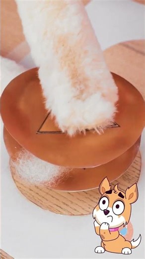 My Cat vs. The Squid Paper Challenge🐱🤣 #123go