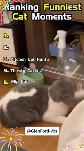 Ranking Funniest Cat Fails No Food & Water 🐾😂