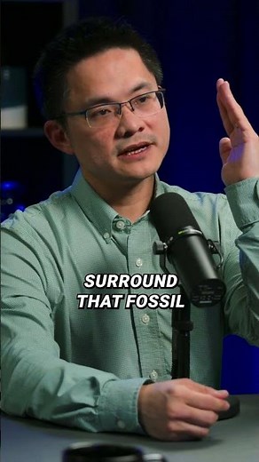 What is a Polystrate Egg?